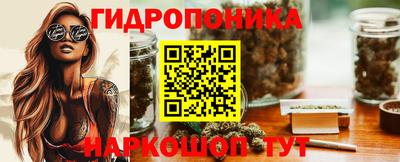 гидра Тара