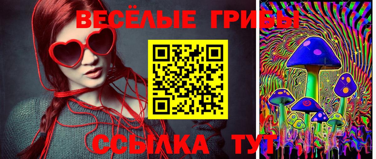 Галлюциногенные грибы GOLDEN TEACHER Богородск