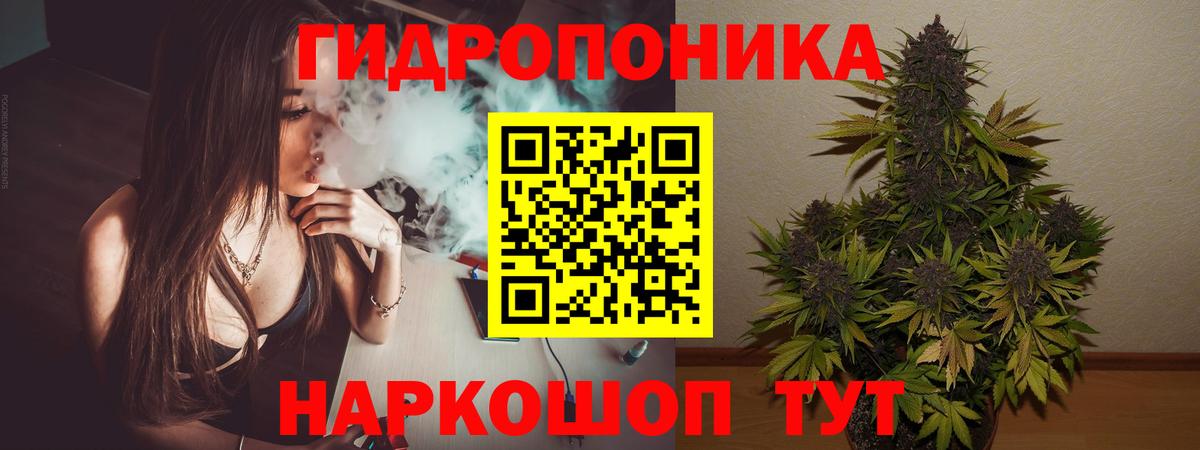 Каннабис конопля Богородск